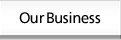 Our Business